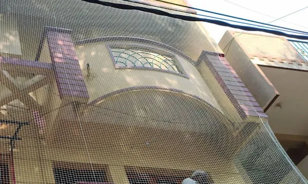 Monkey Safety Nets